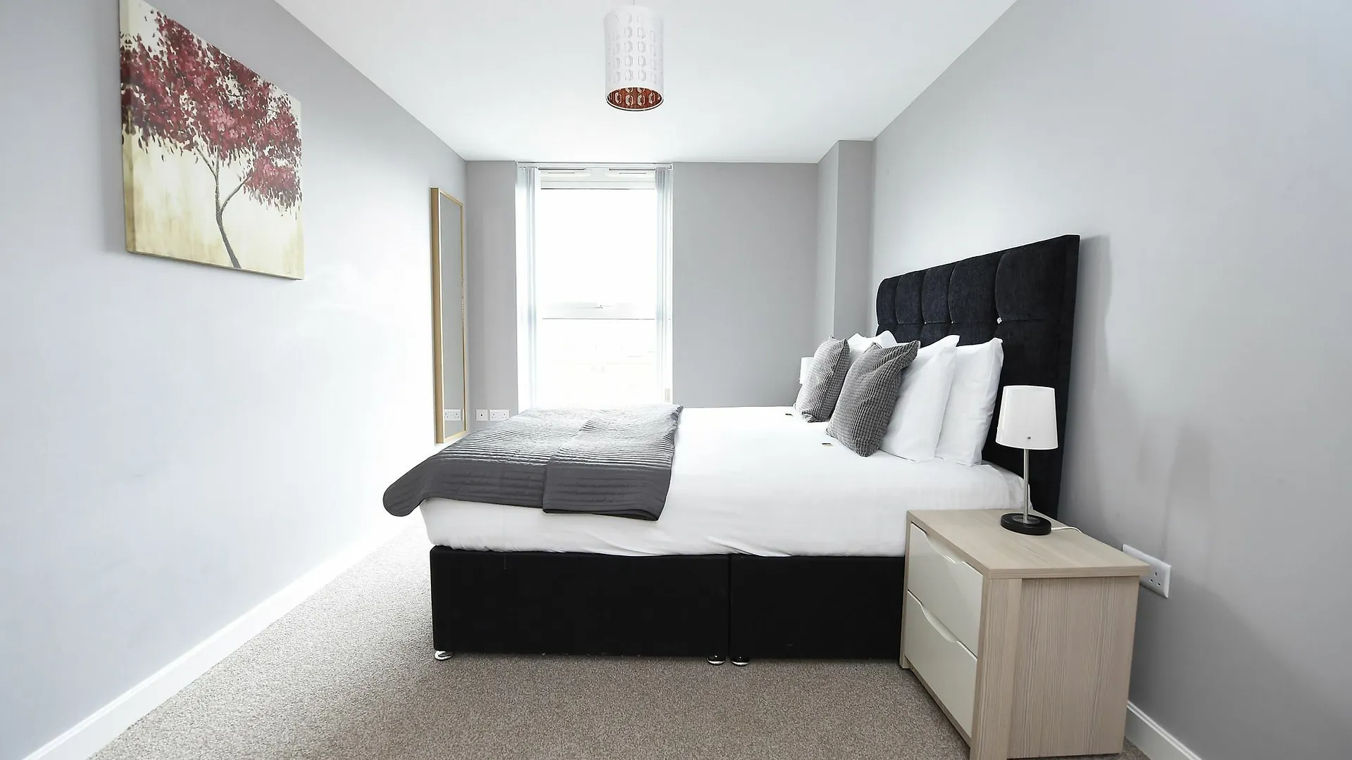 Dream Apartment 2 Bd Belfast